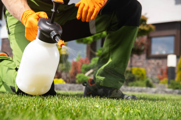 Professional Pest Control in Plainfield Village, CT