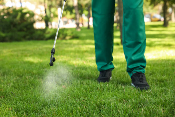 Wildlife Control Services in Plainfield Village, CT