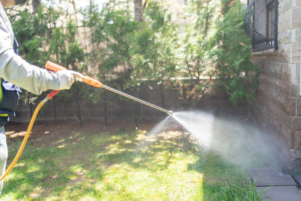 Best Local Pest Control Services  in Plainfield Village, CT