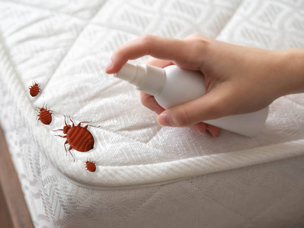 Best Exterminator Services  in Plainfield Village, CT