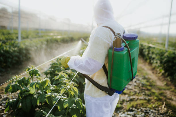 Trusted Plainfield Village, CT Pest Control Experts